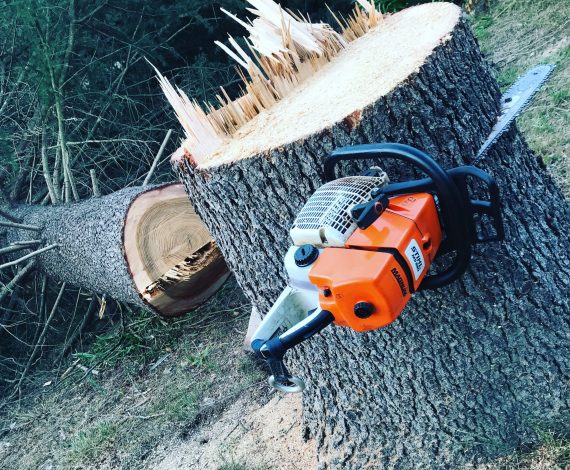 napier-tree-services-chainsaw